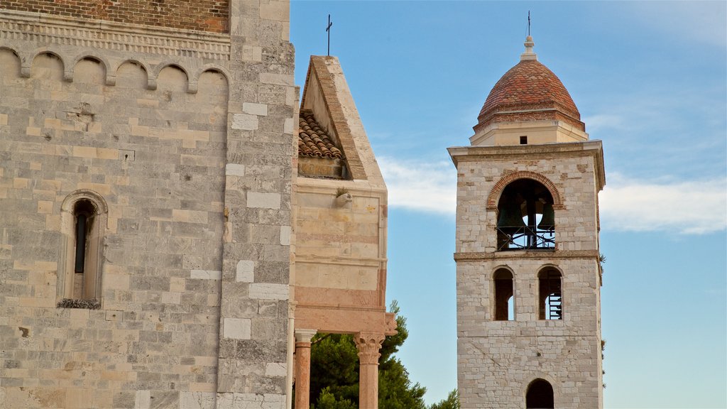 Catedral de San Ciriaco ofreciendo elementos patrimoniales