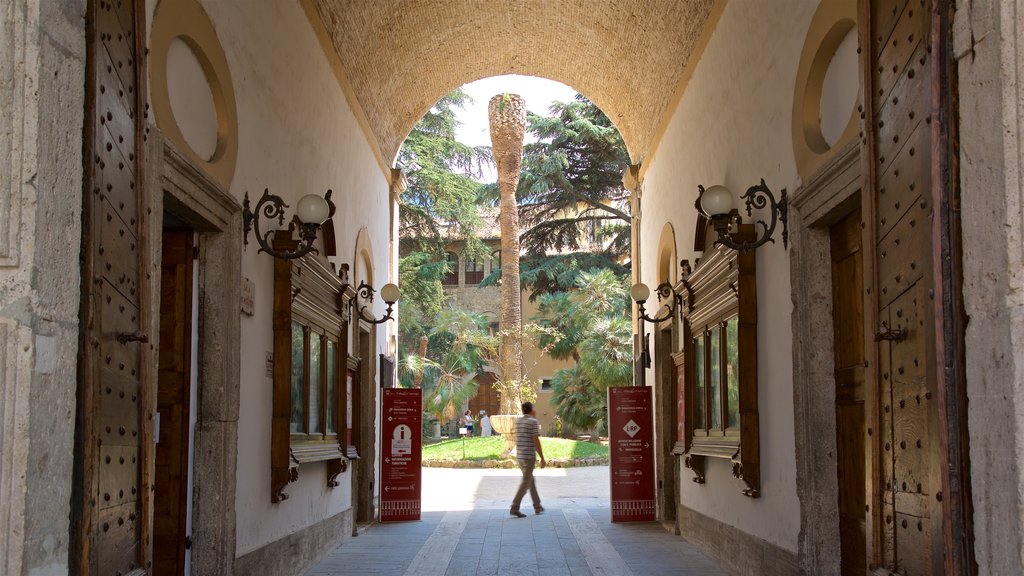 Pinacoteca Civica which includes interior views