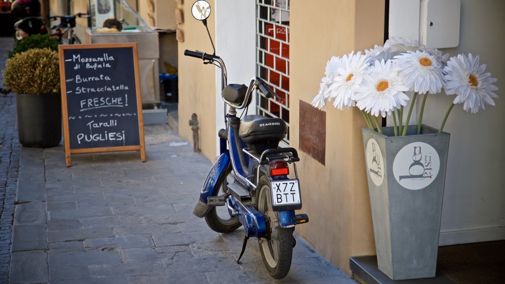 Citta di Castello showing flowers and signage