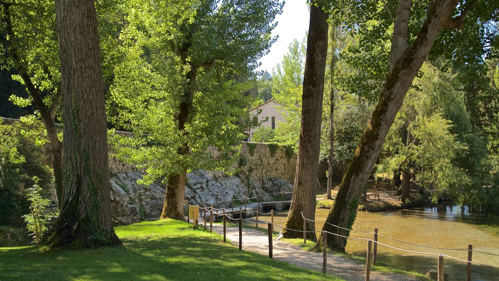 Manantial de Clitunno mostrando un estanque y jardín