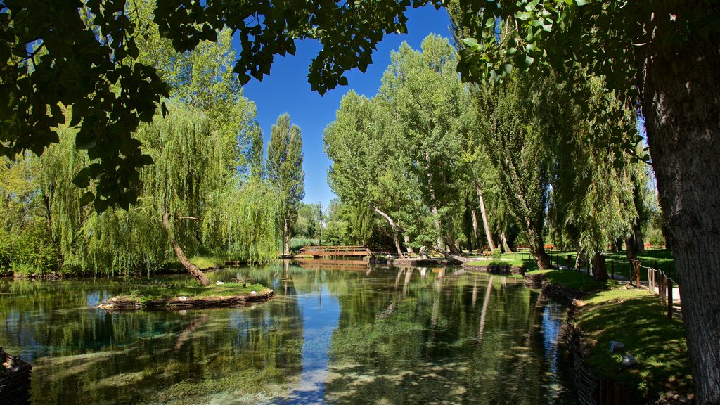 Fontes de Clitunno mostrando um lago e um parque