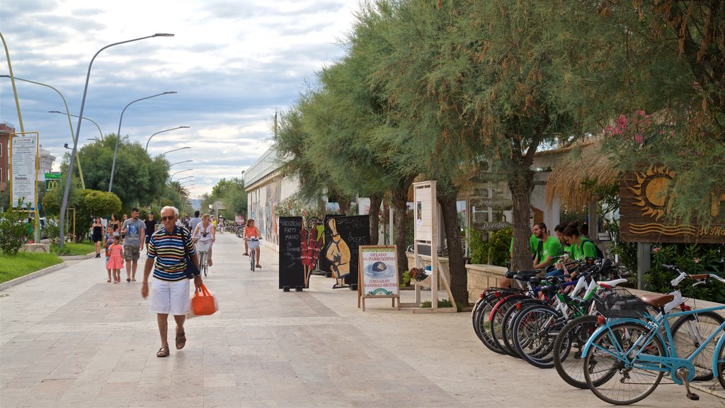 Pescara showing street scenes as well as an individual male