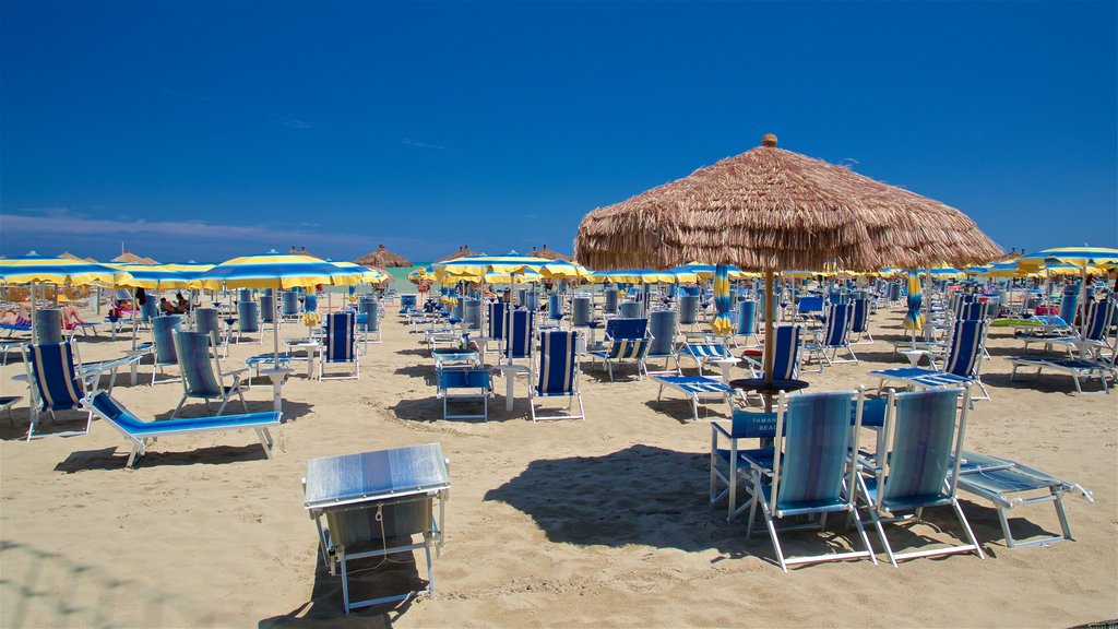 Montesilvano showing general coastal views and a sandy beach