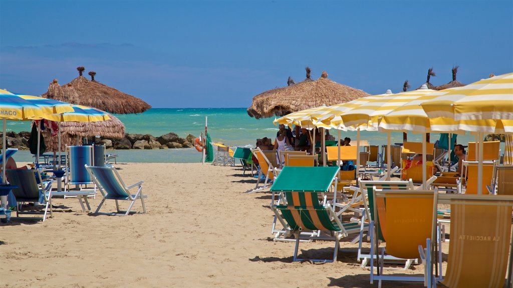 Montesilvano toont algemene kustgezichten, een strand en tropische uitzichten