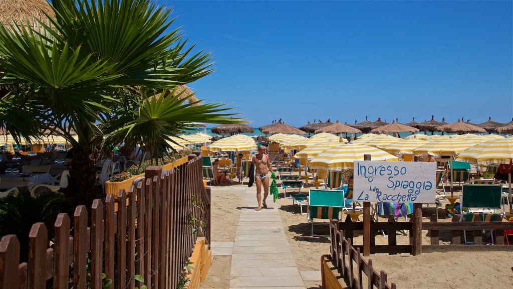 Montesilvano que incluye vista general a la costa y una playa de arena y también un hombre