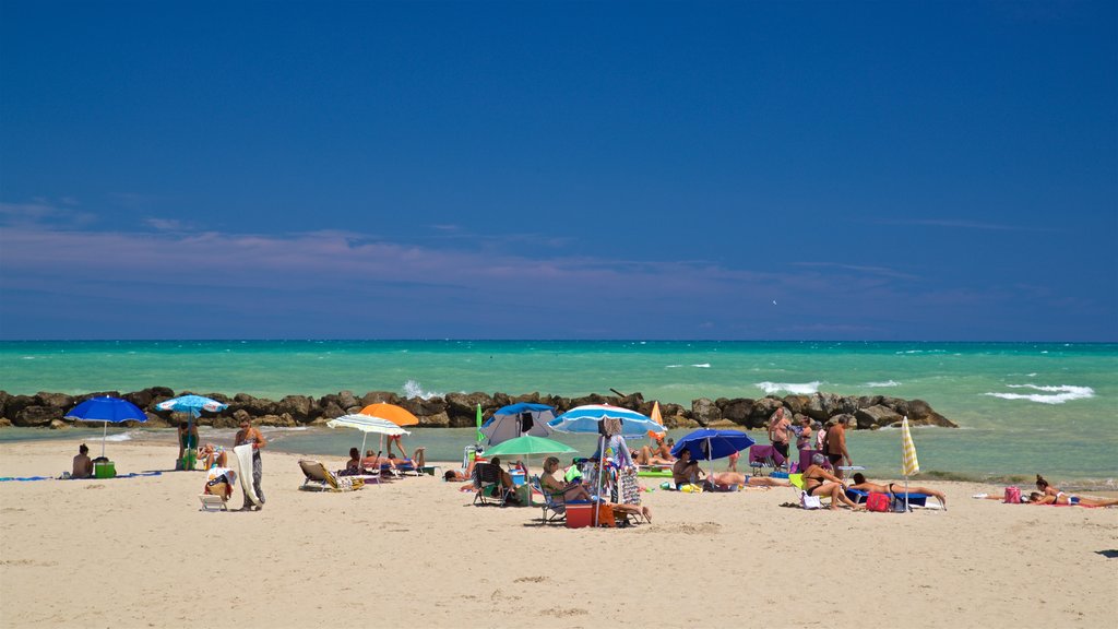 Montesilvano ofreciendo vista general a la costa, una playa de arena y escenas tropicales