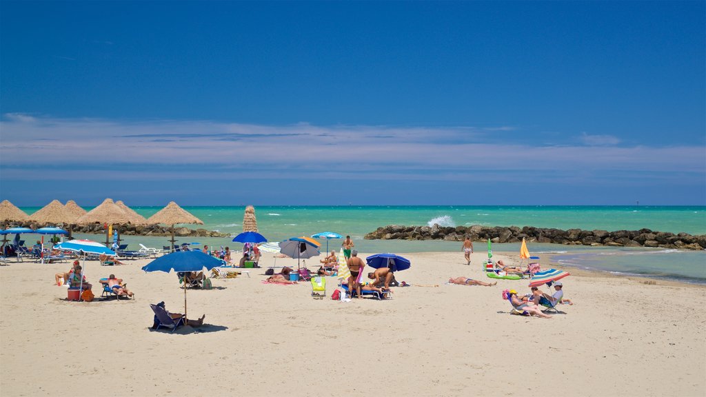 Montesilvano ofreciendo vistas generales de la costa, una playa y escenas tropicales