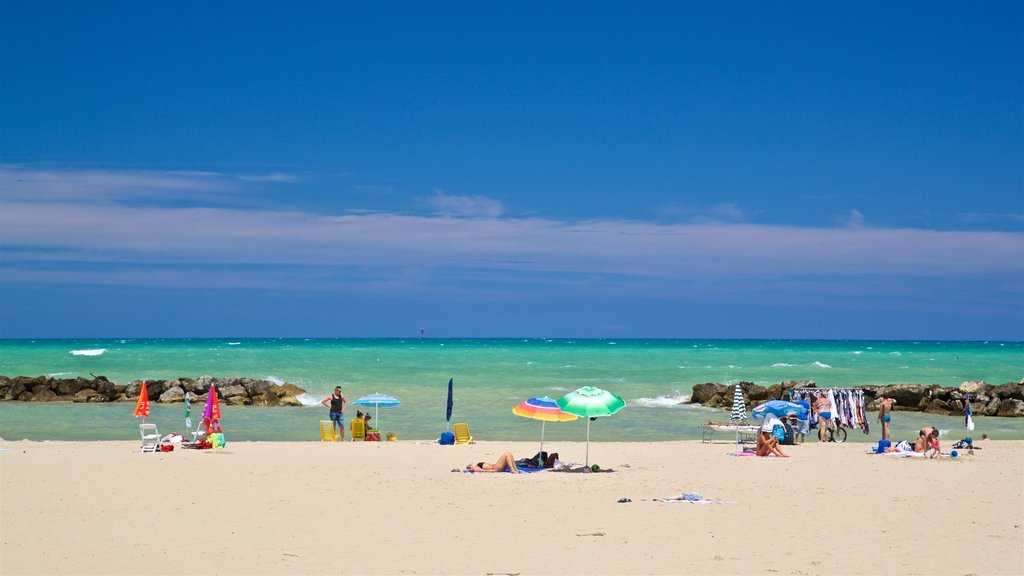 Montesilvano que incluye una playa de arena, vista general a la costa y escenas tropicales