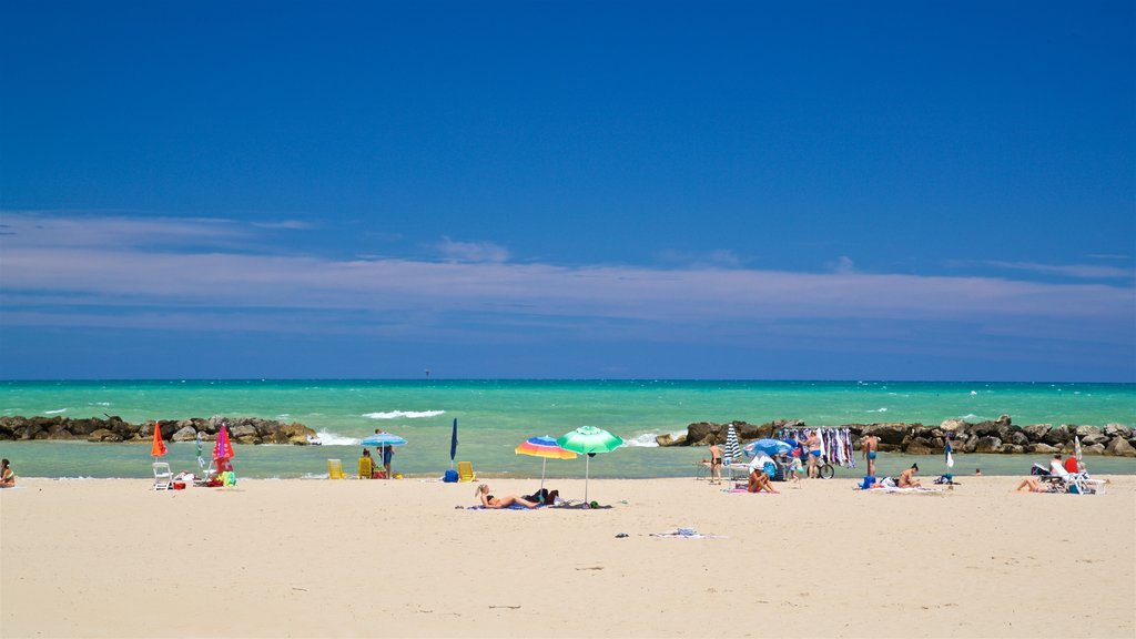 Montesilvano showing a sandy beach, tropical scenes and general coastal views