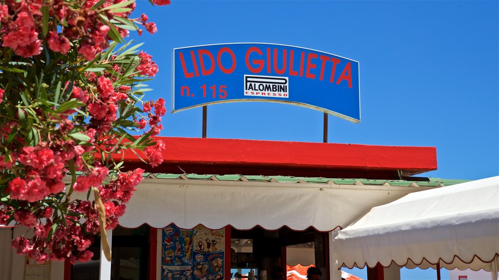 Montesilvano showing wild flowers and signage