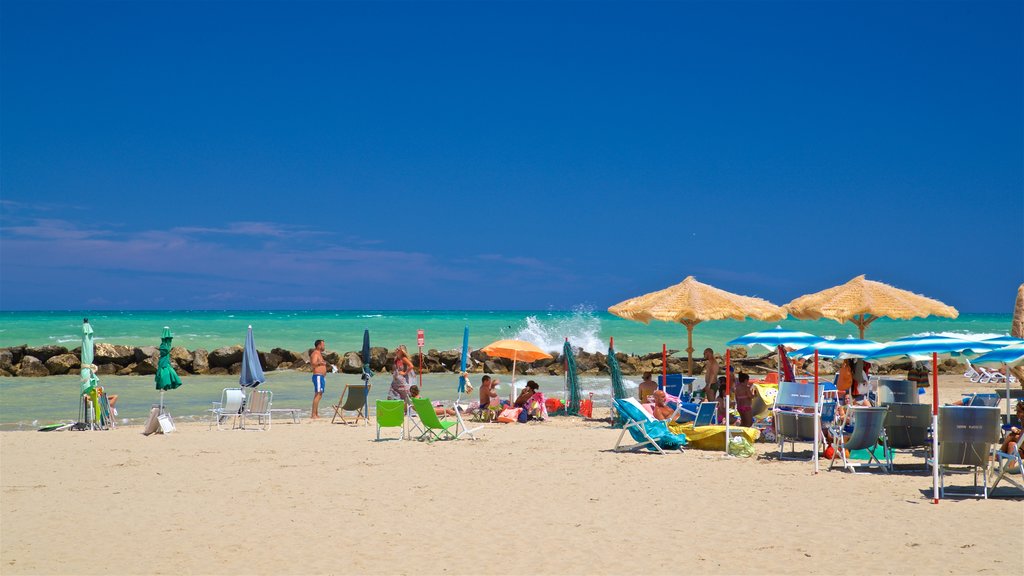 Montesilvano ofreciendo una playa, vistas generales de la costa y escenas tropicales