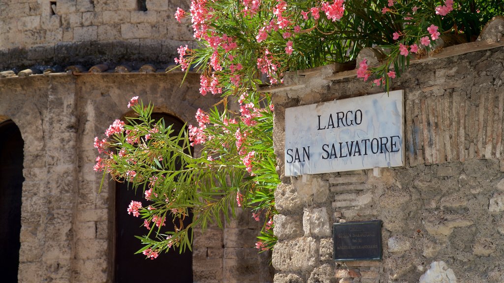 Terni ofreciendo señalización y flores silvestres