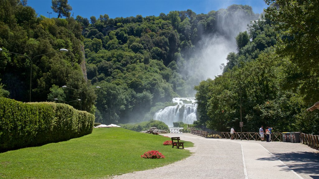 Cascata delle Marmore mostrando un parque y cataratas