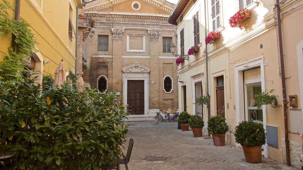 Senigallia mostrando flores y elementos patrimoniales