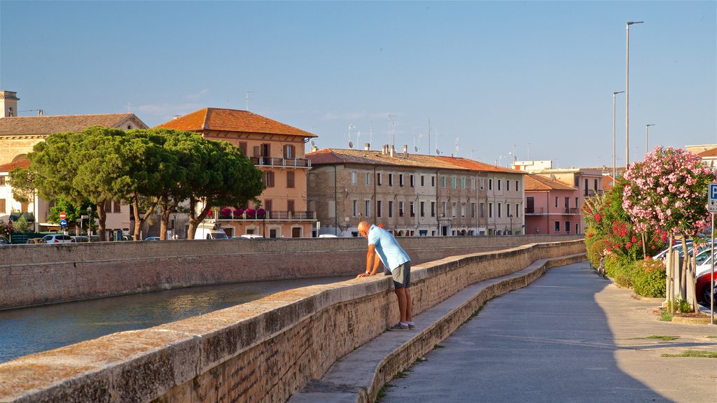 Senigallia mostrando flores silvestres y un río o arroyo y también un hombre