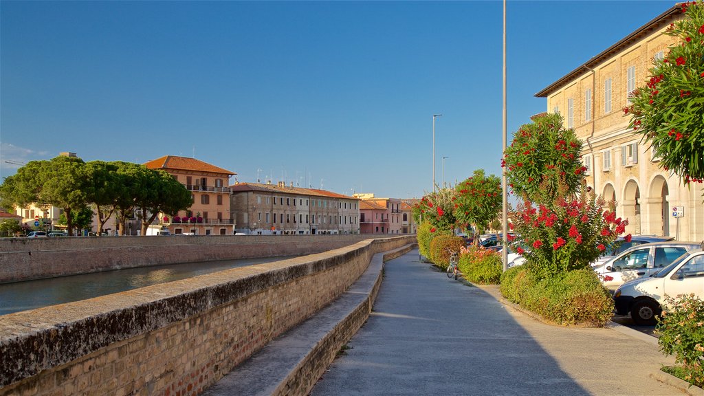 Senigallia mostrando flores silvestres y un río o arroyo