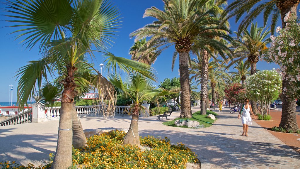 San Benedetto del Tronto ofreciendo flores silvestres y un parque y también una mujer