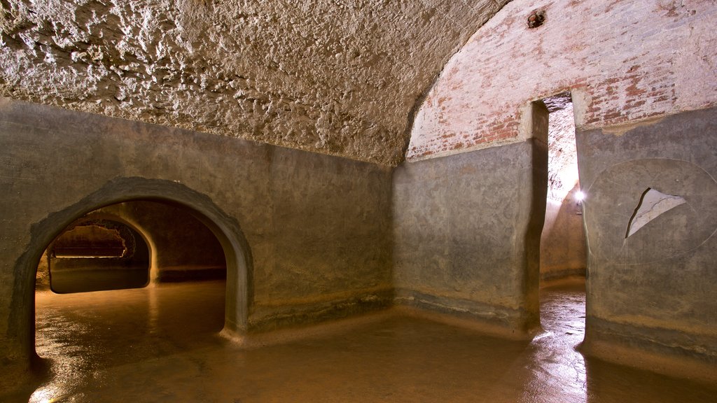 Roman Tanks showing interior views and heritage elements