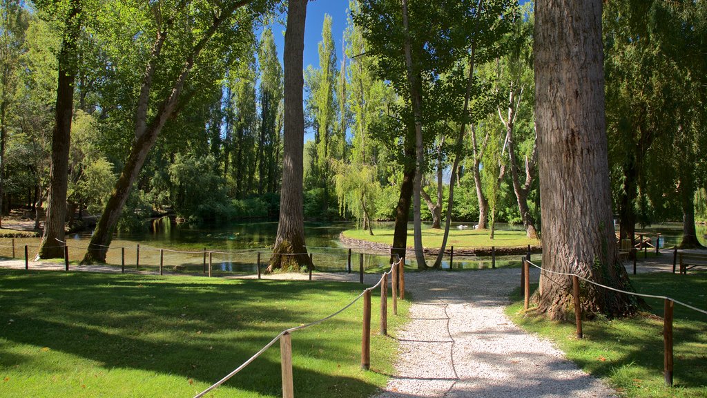 Fontes de Clitunno caracterizando um lago e um jardim