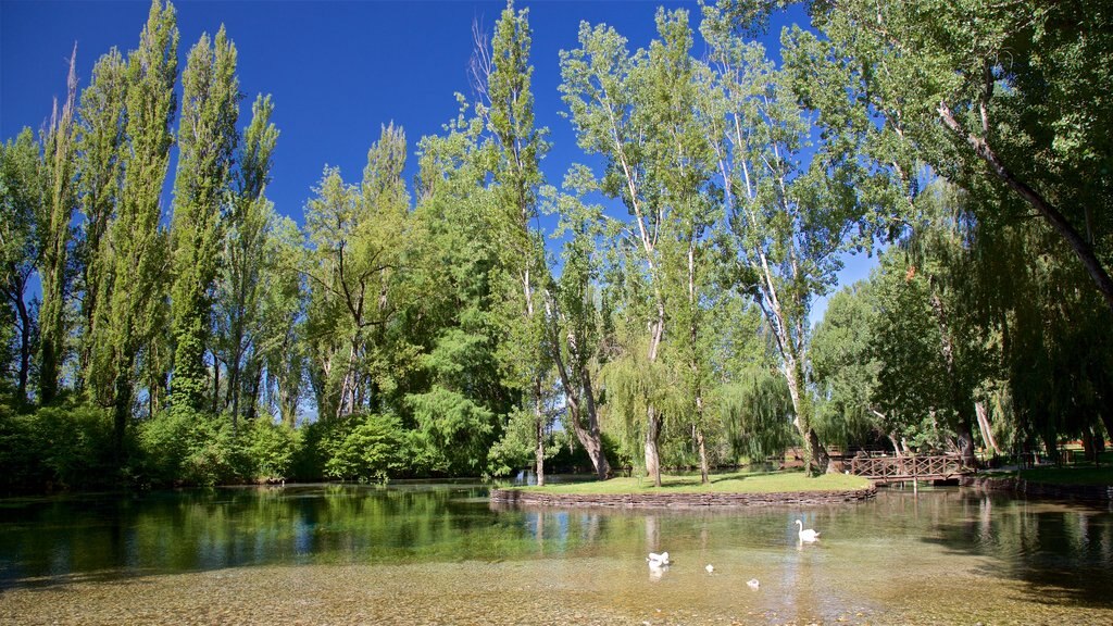 Manantial de Clitunno ofreciendo un estanque y jardín