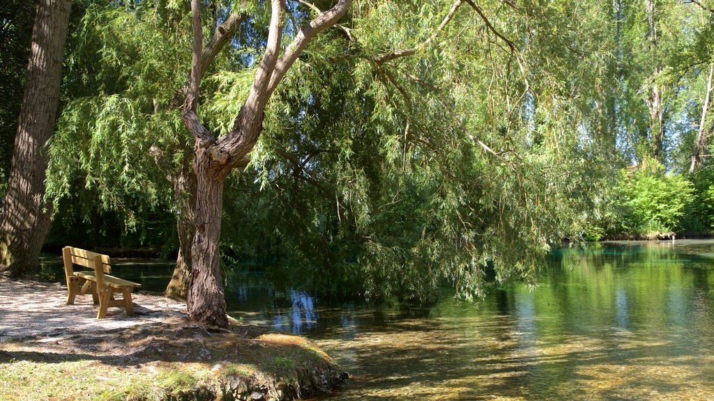 Springs of Clitunno which includes a pond and a park