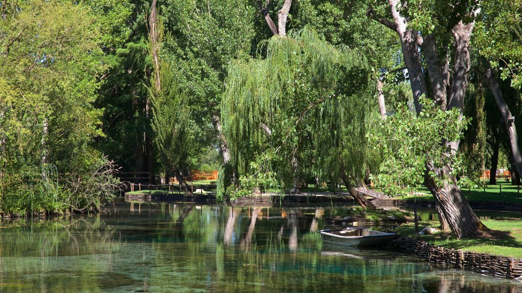 Le Fonti del Clitunno toont een vijver en een park