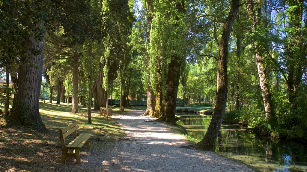 Fontes de Clitunno que inclui um lago e um parque