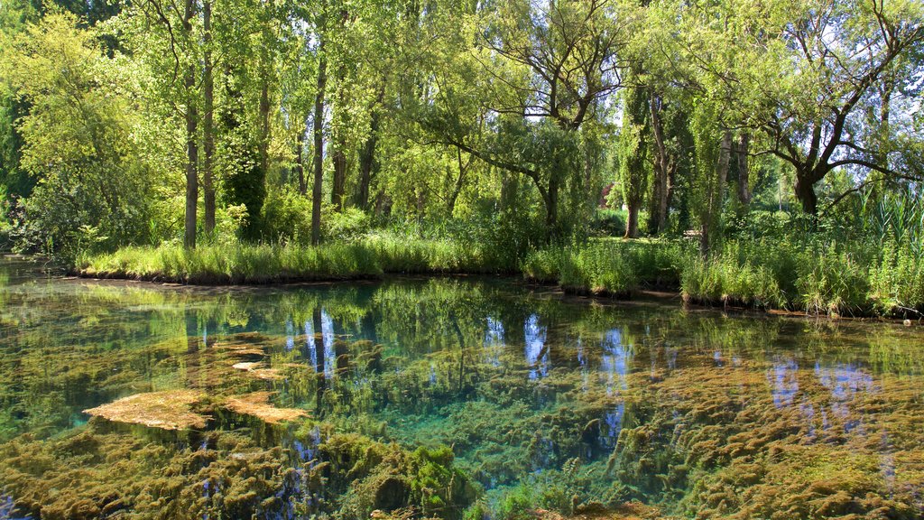 Springs of Clitunno featuring a pond