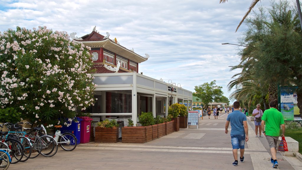 Pescara showing wild flowers as well as a couple