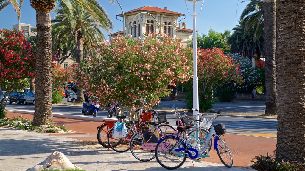 San Benedetto del Tronto mostrando flores silvestres