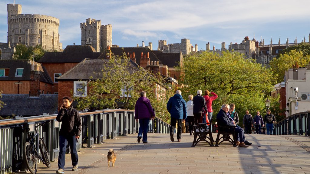 Windsor mostrando cenas de rua assim como um pequeno grupo de pessoas