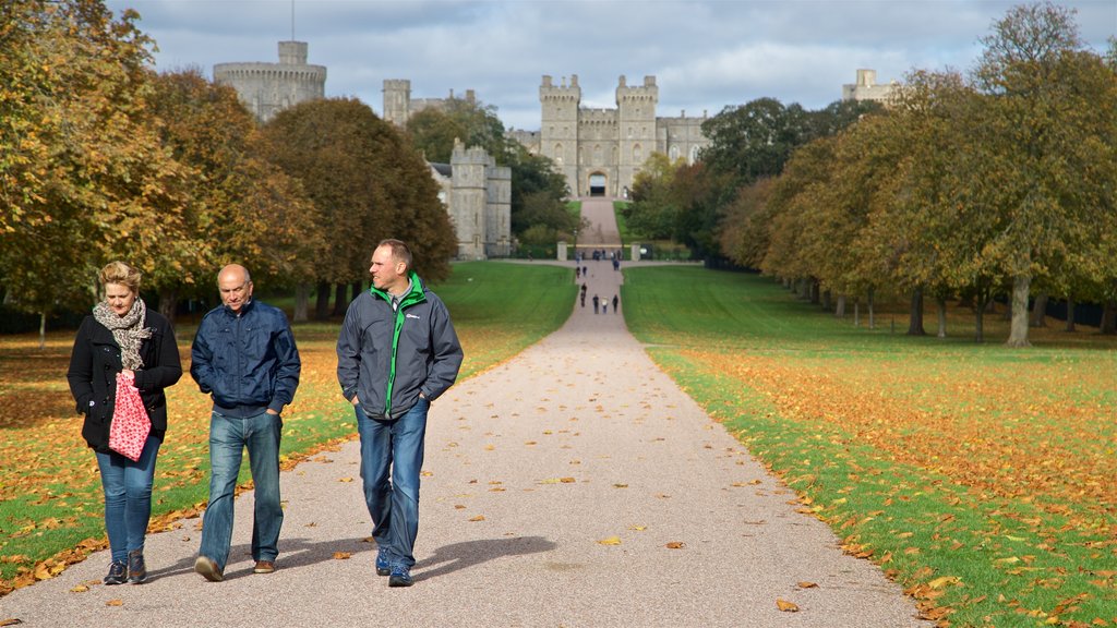 Windsor som omfatter en have og efterårsblade såvel som en lille gruppe mennesker