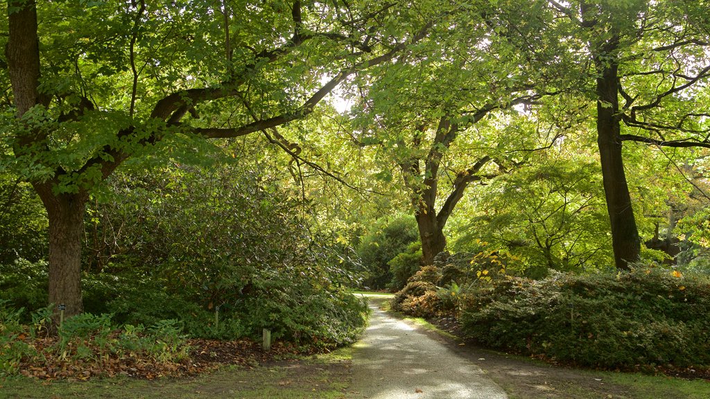 Taman Savill menunjukkan taman