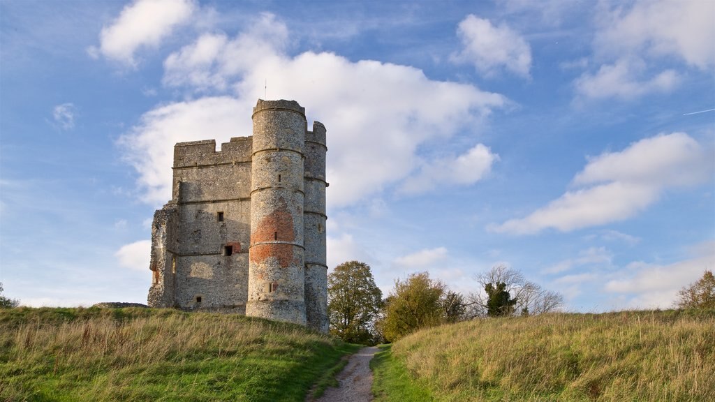 Donnington Castle mostrando ruinas de edificios y elementos del patrimonio