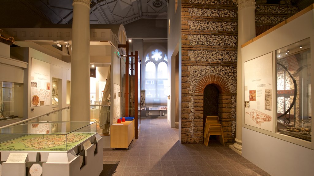 Reading Museum and Town Hall showing interior views