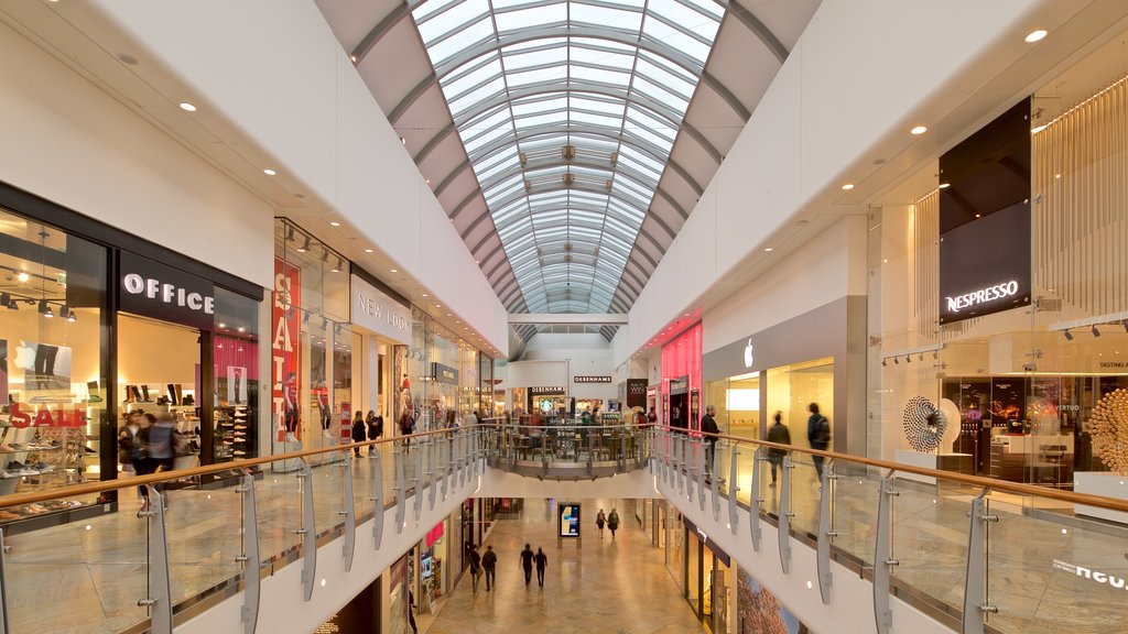 Oracle showing shopping and interior views