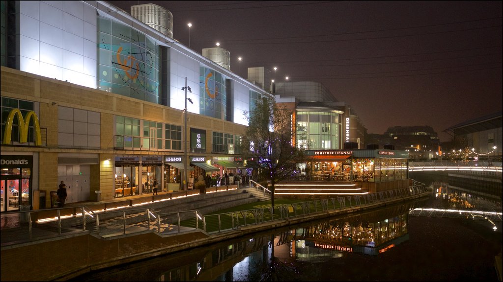 Oracle showing night scenes and a river or creek