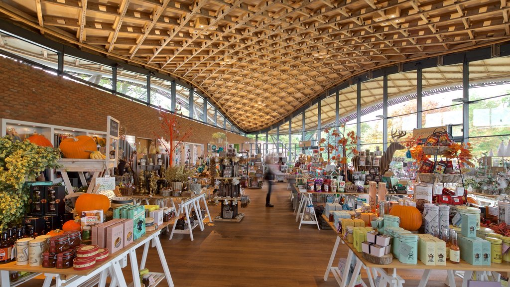 Savill Garden featuring interior views