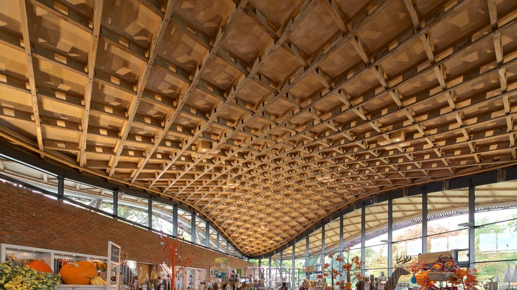 Savill Garden featuring interior views