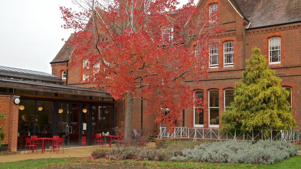 Museum of English Rural Life which includes autumn colours and wild flowers