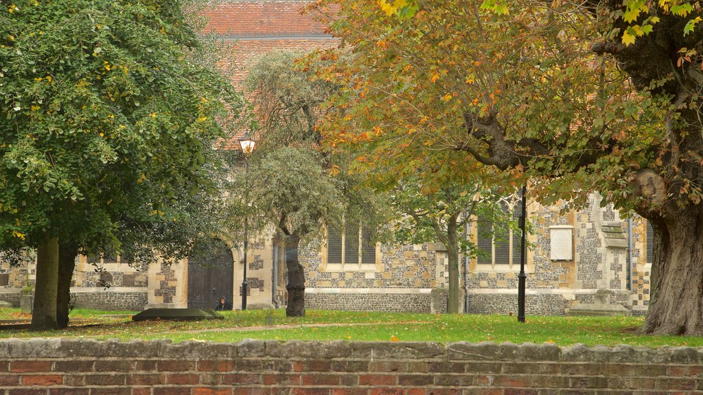 Iglesia minster de Santa María Virgen mostrando jardín y hojas de otoño