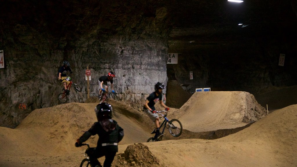 Louisville Mega Cavern mostrando cenas noturnas, mountain bike e um evento desportivo