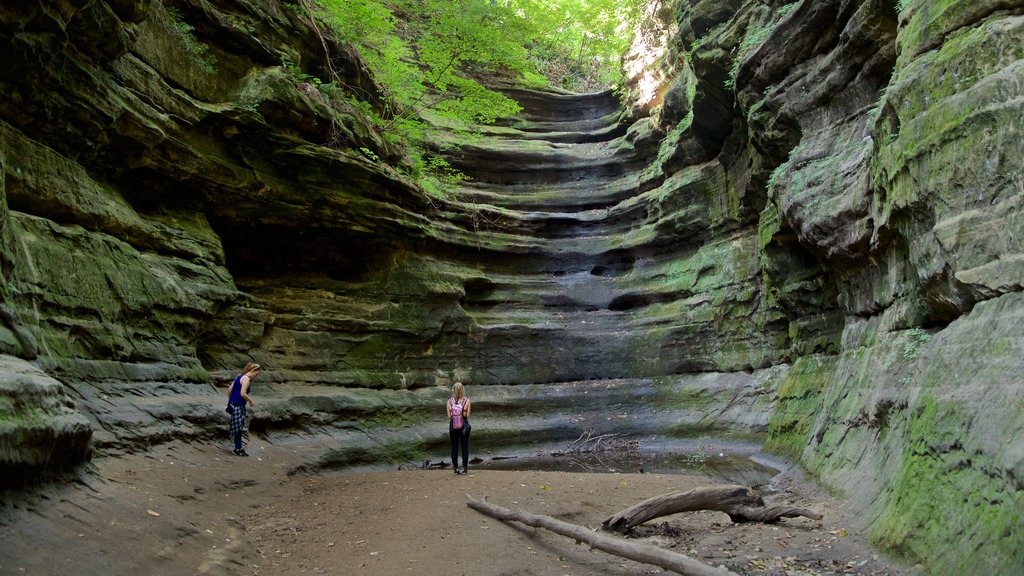 Parque estatal Starved Rock que incluye imágenes de bosques y también una pareja