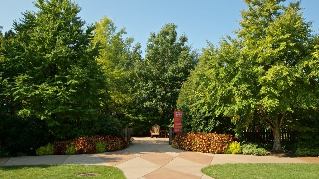 Morton Arboretum showing a garden