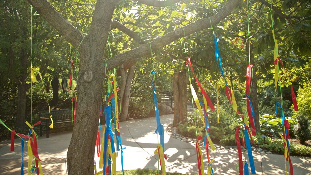 Morton Arboretum featuring a park