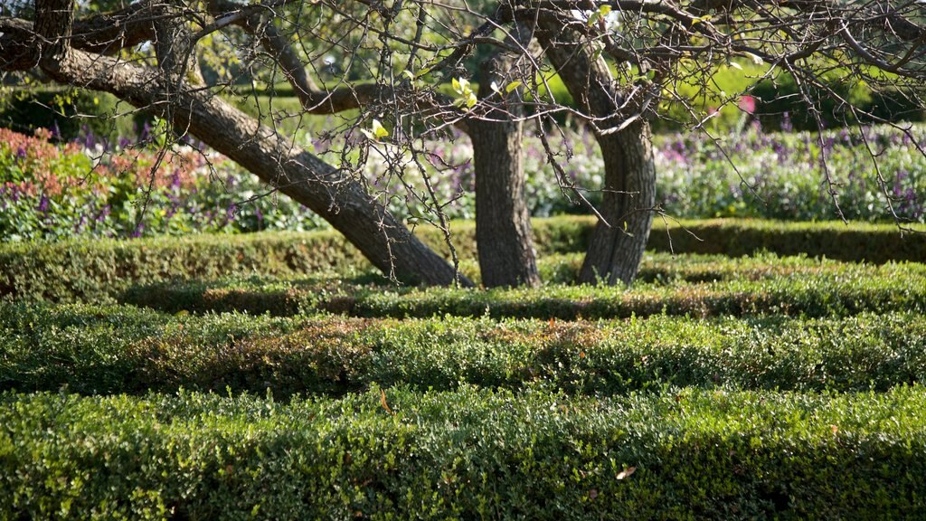 Morton Arboretum toont een tuin