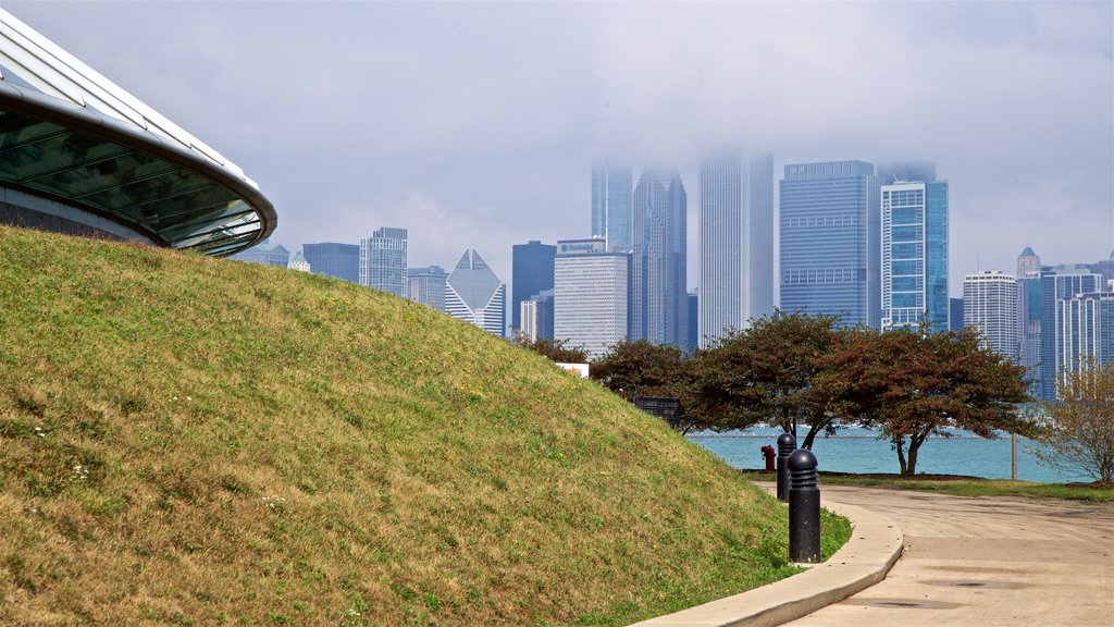 Adler Planetarium and Astronomy Museum mostrando neblina o niebla, una ciudad y un jardín