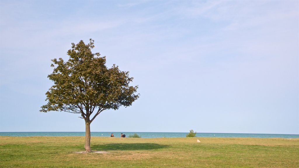 Montrose Beach showing general coastal views and a park as well as a couple