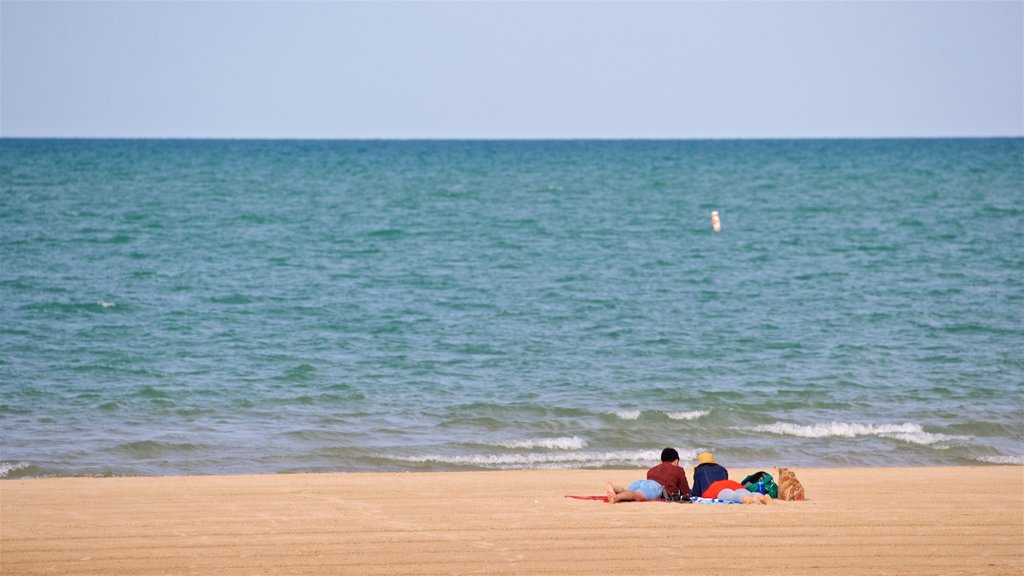 Montrose Beach showing general coastal views and a sandy beach as well as a couple