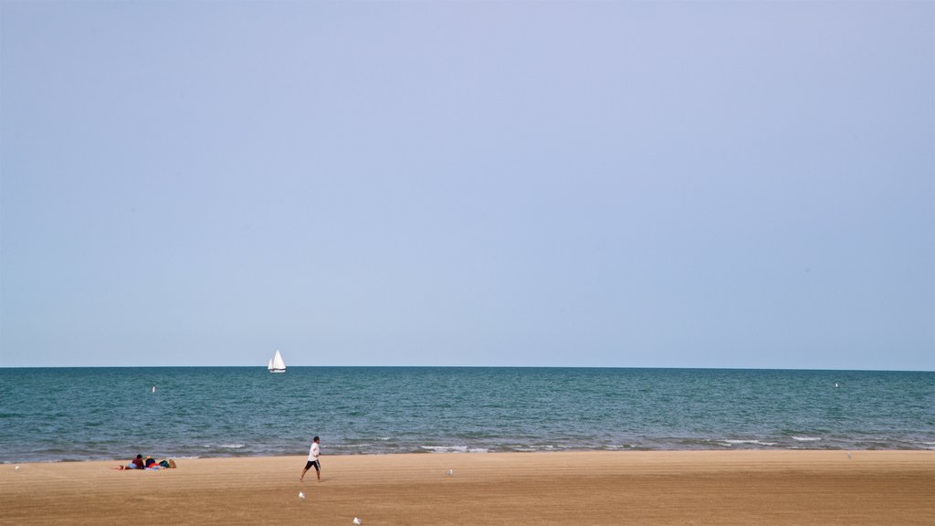 Montrose Beach showing general coastal views and a sandy beach